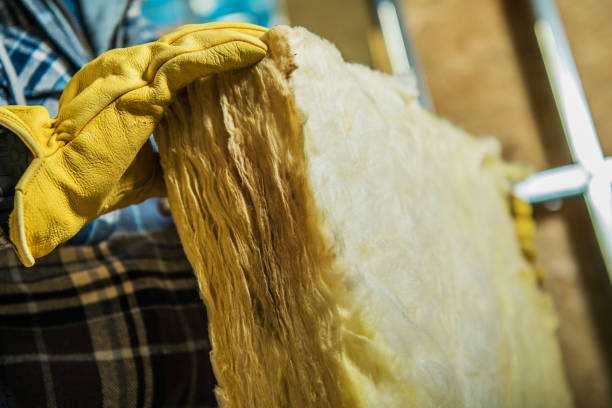 Best Eco-Friendly Insulation in Suamico, WI